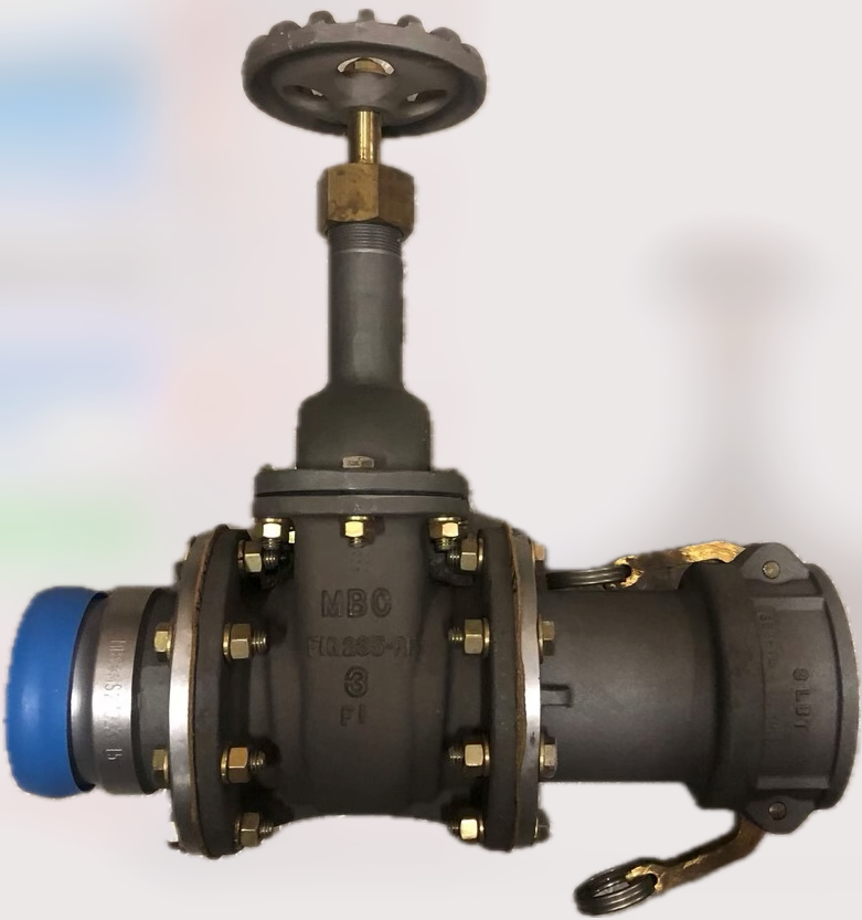 Gate Valve Assembly 3" 4820010961069 , 13222E9881